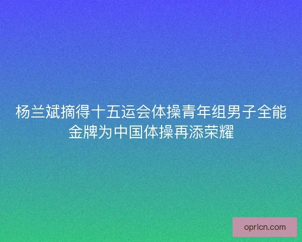 杨兰斌摘得十五运会体操青年组男子全能金牌为中国体操再添荣耀