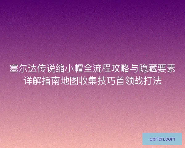 塞尔达传说缩小帽全流程攻略与隐藏要素详解指南地图收集技巧首领战打法 塞尔达传说缩小帽全流程攻略与隐藏要素详解指南地图收集技巧首领战打法